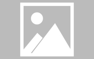 温岭广州专业搭建网站平台（广州网站建设方案开发）